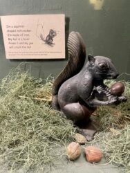 “I'm a squirrel-shaped nutcracker. I'm made of iron. My tail is a lever. Press it and my jaw will crack the nut. Did you know that gray squirrels can eat one kind of nut that's poisonous to people? It's the acorn (the nut from an oak tree).”